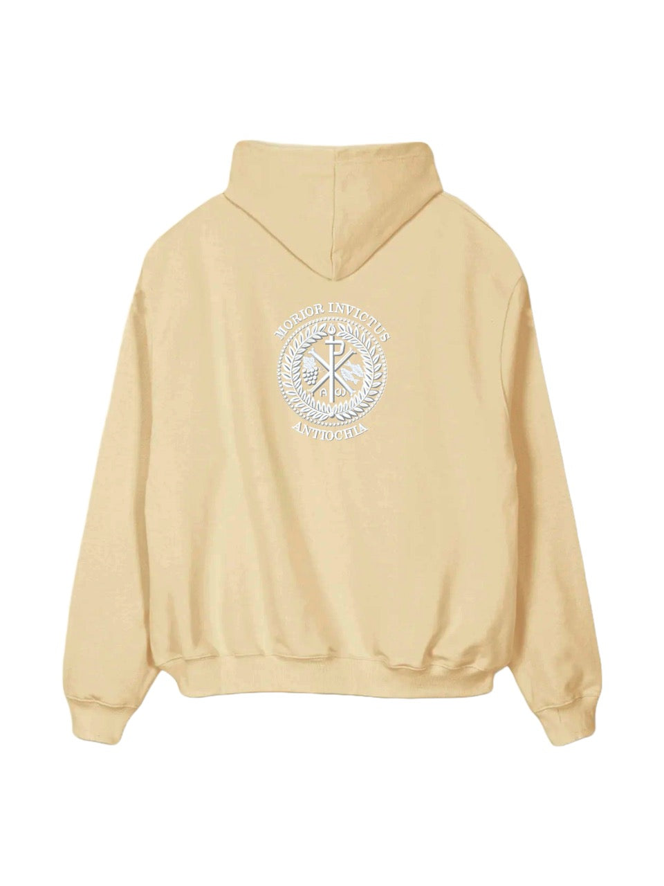 The Cozy Hoodie